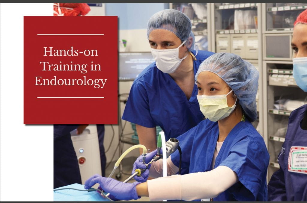 Hands-on Training in Endourology